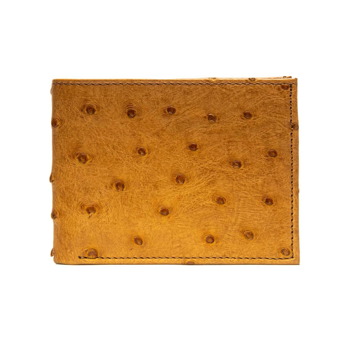 Cartera Avestruz CA40305